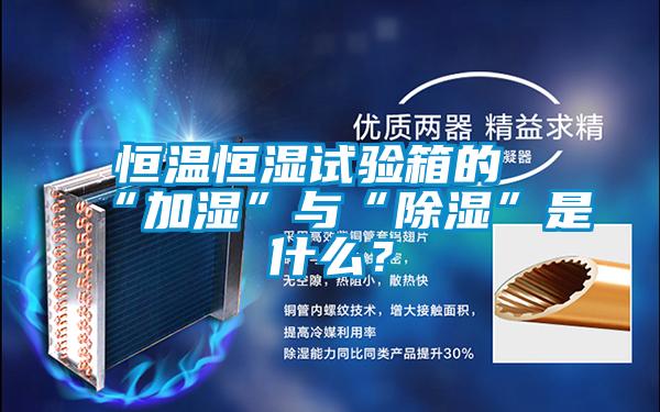 恒溫恒濕試驗(yàn)箱的“加濕”與“除濕”是什么？