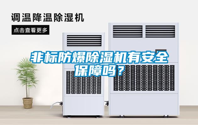 非標(biāo)防爆除濕機(jī)有安全保障嗎？