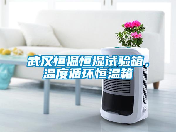武漢恒溫恒濕試驗(yàn)箱，溫度循環(huán)恒溫箱