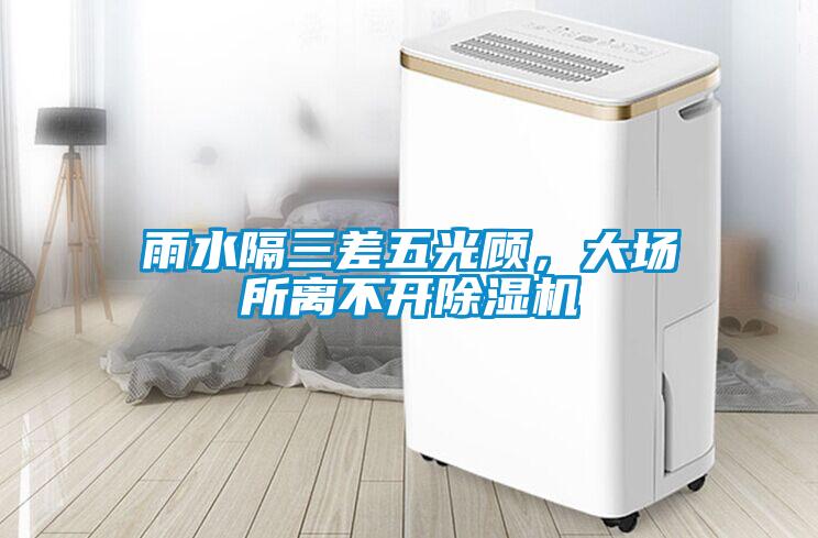 雨水隔三差五光顧，大場所離不開除濕機(jī)