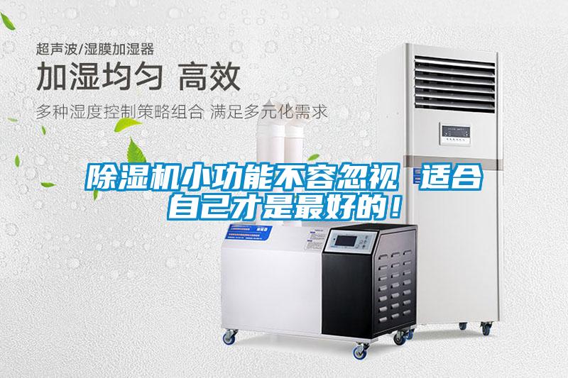 除濕機小功能不容忽視 適合自己才是最好的！