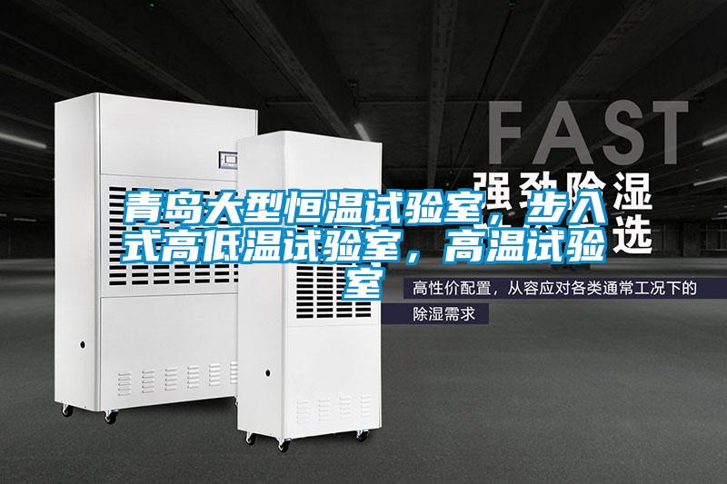 青島大型恒溫試驗室，步入式高低溫試驗室，高溫試驗室