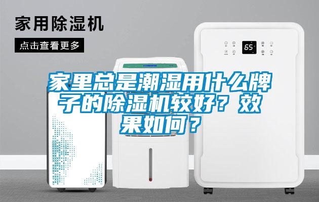 家里總是潮濕用什么牌子的除濕機較好？效果如何？