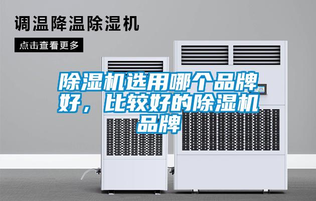 除濕機選用哪個品牌好，比較好的除濕機品牌