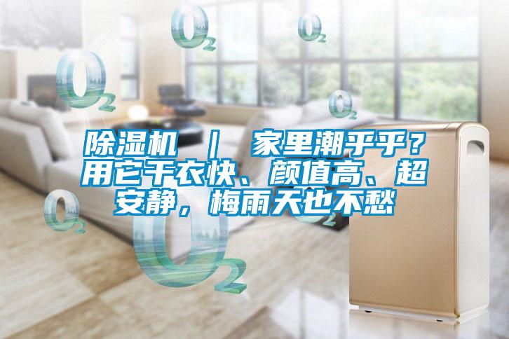 除濕機 ｜ 家里潮乎乎？用它干衣快、顏值高、超安靜，梅雨天也不愁