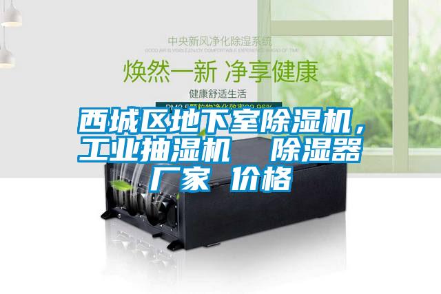 西城區(qū)地下室除濕機，工業(yè)抽濕機  除濕器廠家 價格