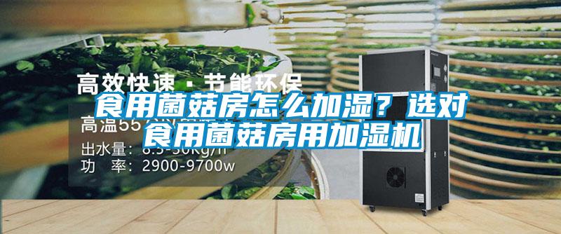食用菌菇房怎么加濕？選對(duì)食用菌菇房用加濕機(jī)