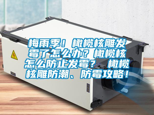 梅雨季！橄欖核雕發(fā)霉了怎么辦？橄欖核怎么防止發(fā)霉？ 橄欖核雕防潮、防霉攻略！