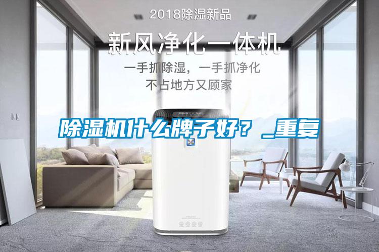 除濕機什么牌子好？_重復(fù)