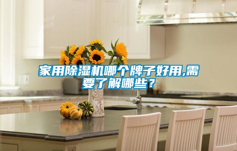 家用除濕機(jī)哪個(gè)牌子好用,需要了解哪些？