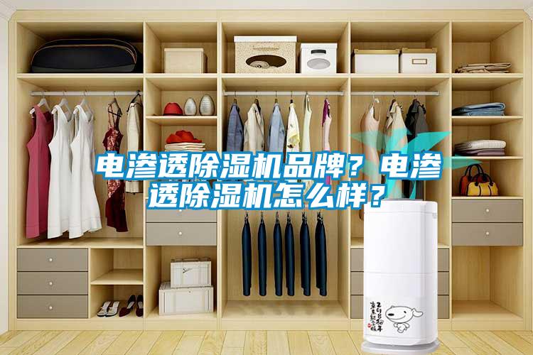 電滲透除濕機(jī)品牌？電滲透除濕機(jī)怎么樣？