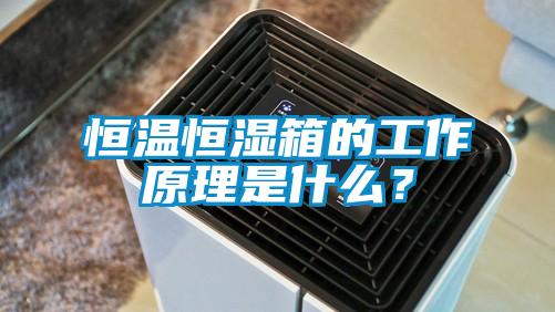 恒溫恒濕箱的工作原理是什么？