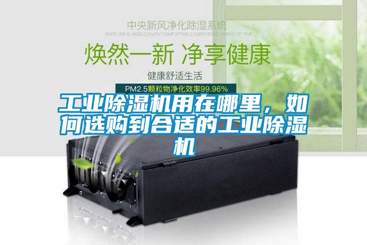 工業(yè)除濕機(jī)用在哪里，如何選購(gòu)到合適的工業(yè)除濕機(jī)