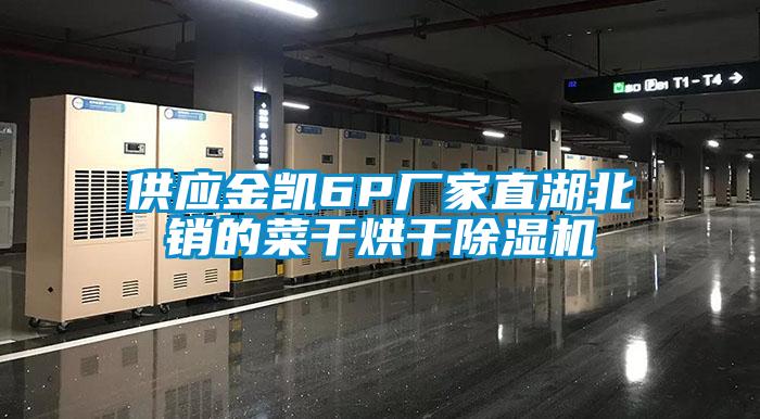 供應(yīng)金凱6P廠家直湖北銷(xiāo)的菜干烘干除濕機(jī)
