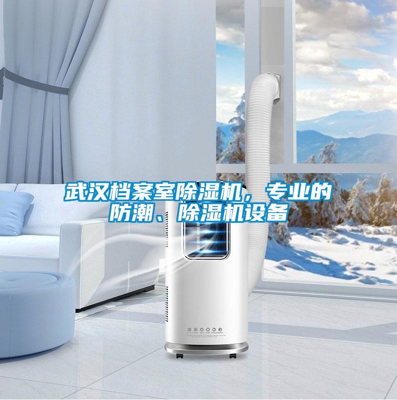 武漢檔案室除濕機(jī)，專業(yè)的防潮、除濕機(jī)設(shè)備