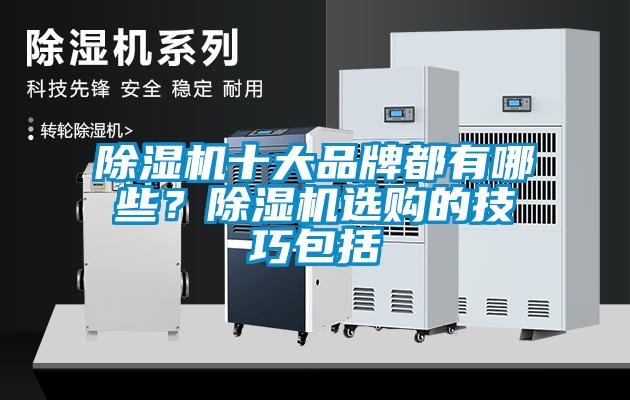 除濕機(jī)十大品牌都有哪些？除濕機(jī)選購(gòu)的技巧包括