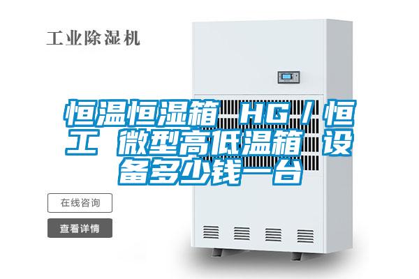 恒溫恒濕箱 HG/恒工 微型高低溫箱 設(shè)備多少錢一臺(tái)