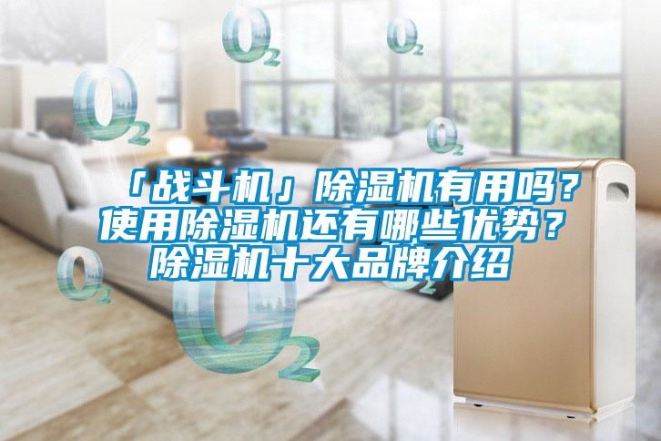 「戰(zhàn)斗機(jī)」除濕機(jī)有用嗎？使用除濕機(jī)還有哪些優(yōu)勢(shì)？除濕機(jī)十大品牌介紹