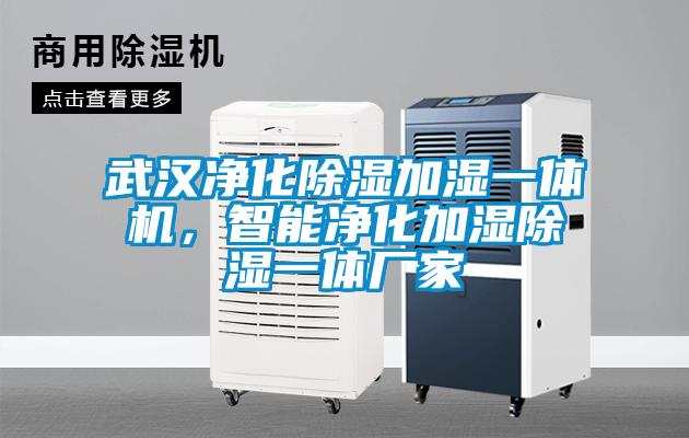 武漢凈化除濕加濕一體機(jī)，智能凈化加濕除濕一體廠家
