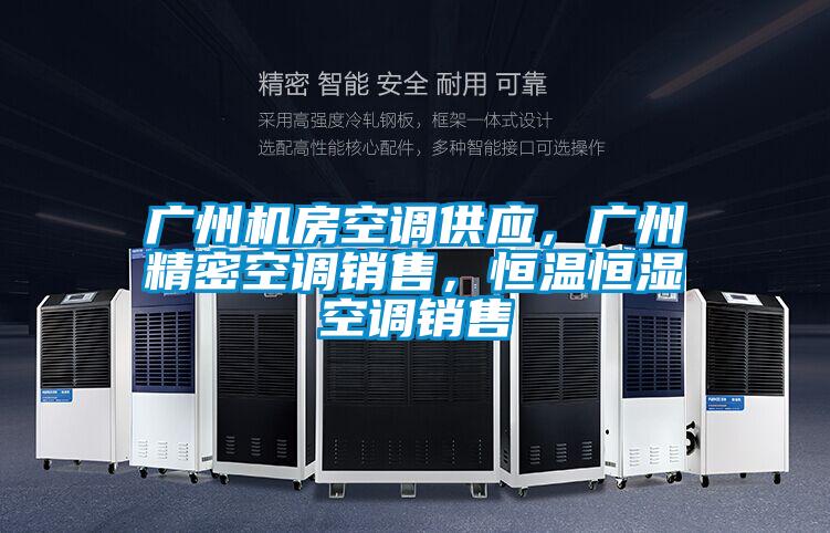廣州機(jī)房空調(diào)供應(yīng)，廣州精密空調(diào)銷(xiāo)售，恒溫恒濕空調(diào)銷(xiāo)售
