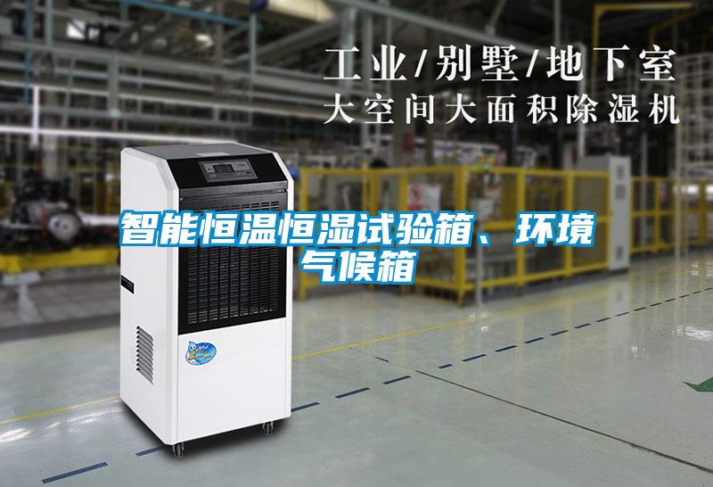 智能恒溫恒濕試驗(yàn)箱、環(huán)境氣候箱
