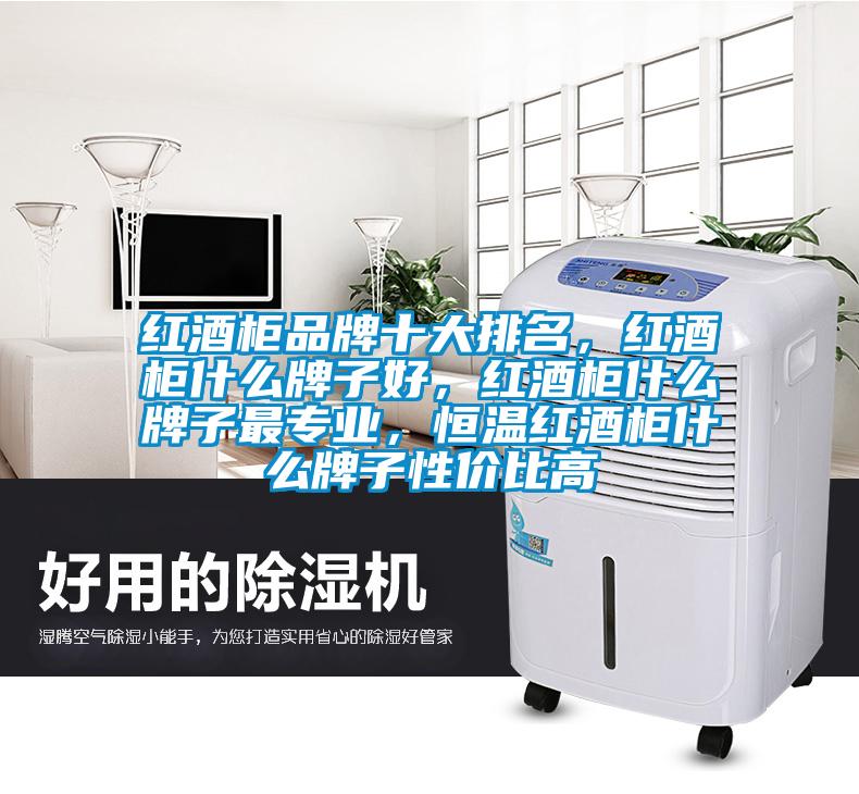 紅酒柜品牌十大排名，紅酒柜什么牌子好，紅酒柜什么牌子最專業(yè)，恒溫紅酒柜什么牌子性價比高