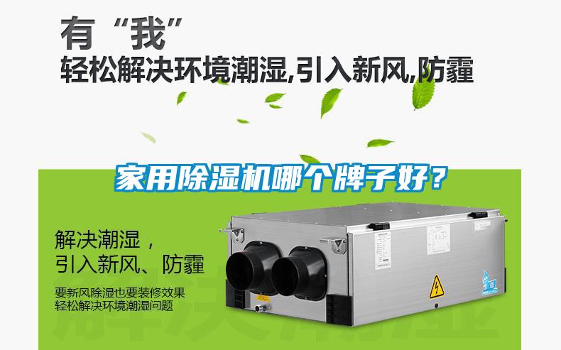 家用除濕機哪個牌子好？