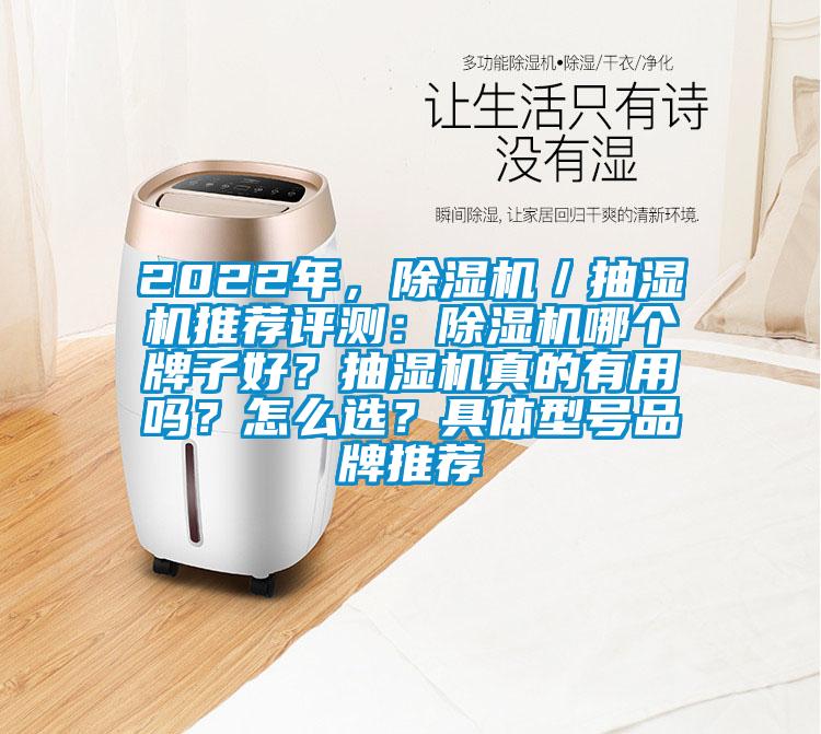 2022年，除濕機／抽濕機推薦評測：除濕機哪個牌子好？抽濕機真的有用嗎？怎么選？具體型號品牌推薦