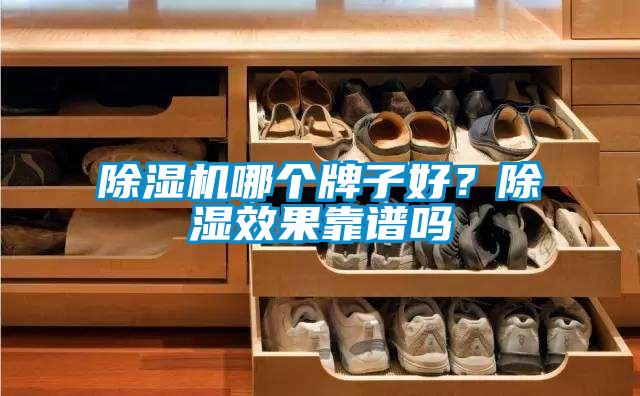 除濕機(jī)哪個(gè)牌子好？除濕效果靠譜嗎