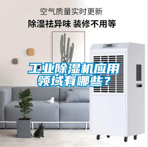 工業(yè)除濕機應用領域有哪些？