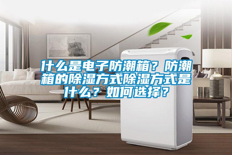 什么是電子防潮箱？防潮箱的除濕方式除濕方式是什么？如何選擇？