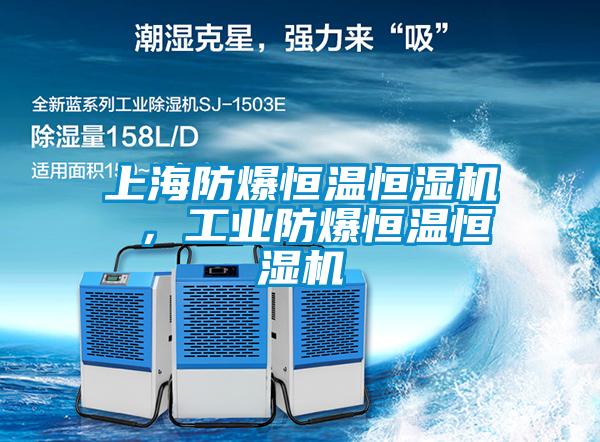 上海防爆恒溫恒濕機(jī) ，工業(yè)防爆恒溫恒濕機(jī)