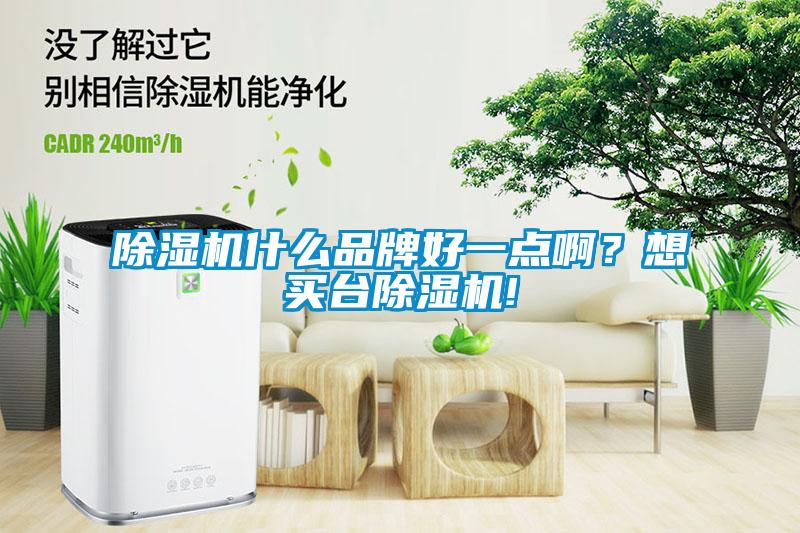 除濕機(jī)什么品牌好一點(diǎn)啊？想買臺(tái)除濕機(jī)!
