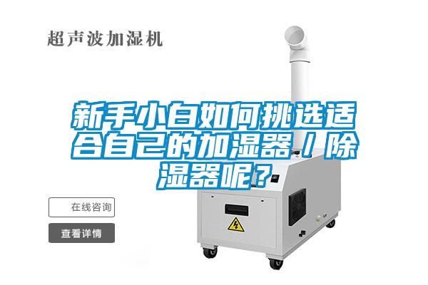 新手小白如何挑選適合自己的加濕器／除濕器呢？