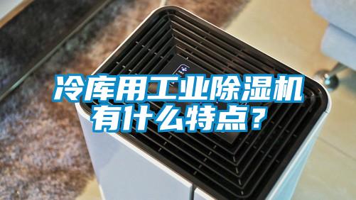 冷庫(kù)用工業(yè)除濕機(jī)有什么特點(diǎn)？