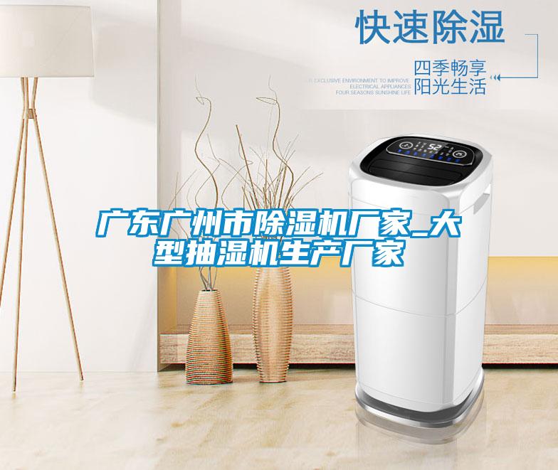 廣東廣州市除濕機(jī)廠(chǎng)家_大型抽濕機(jī)生產(chǎn)廠(chǎng)家