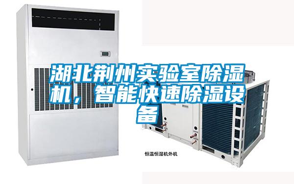 湖北荊州實(shí)驗(yàn)室除濕機(jī)，智能快速除濕設(shè)備