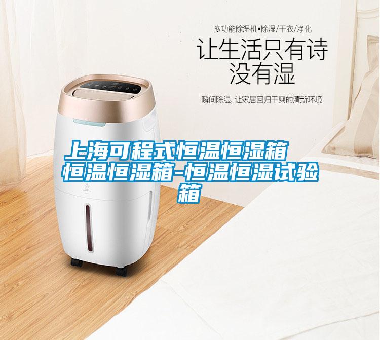 上?？沙淌胶銣睾銤裣? 恒溫恒濕箱-恒溫恒濕試驗(yàn)箱