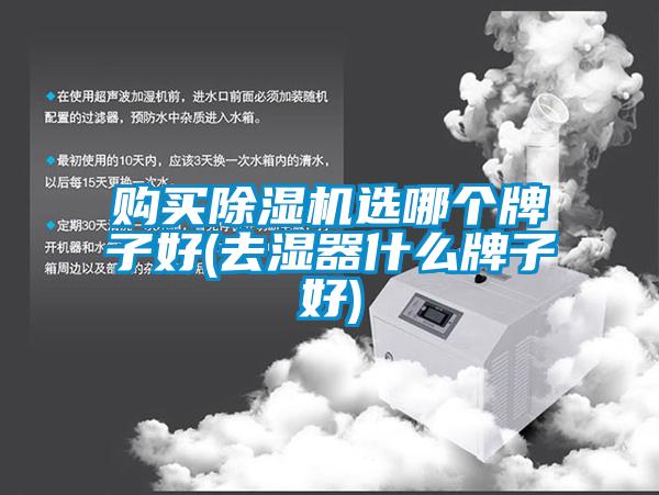 購買除濕機(jī)選哪個牌子好(去濕器什么牌子好)