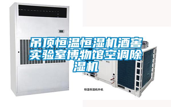 吊頂恒溫恒濕機(jī)酒窖實驗室博物館空調(diào)除濕機(jī)