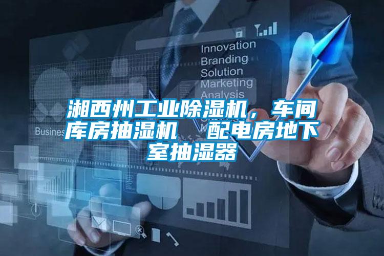 湘西州工業(yè)除濕機(jī)，車間庫房抽濕機(jī)  配電房地下室抽濕器