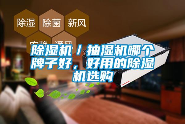 除濕機(jī)／抽濕機(jī)哪個(gè)牌子好，好用的除濕機(jī)選購(gòu)