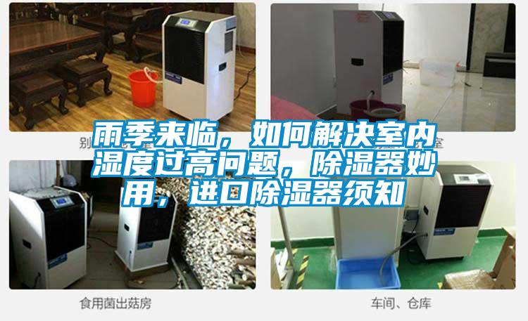 雨季來臨，如何解決室內濕度過高問題，除濕器妙用，進口除濕器須知