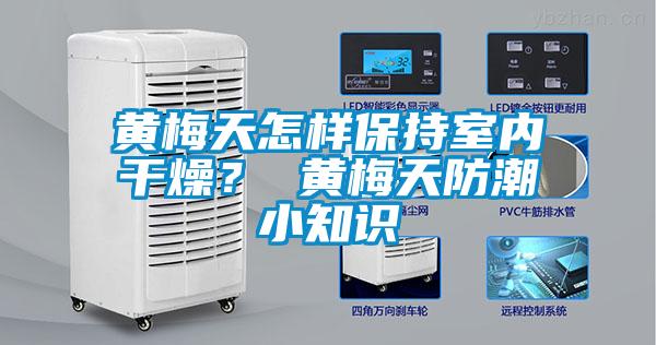 黃梅天怎樣保持室內(nèi)干燥? 黃梅天防潮小知識(shí)