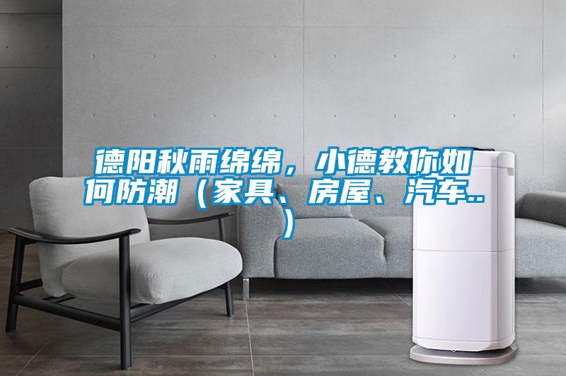 德陽秋雨綿綿，小德教你如何防潮（家具、房屋、汽車..）