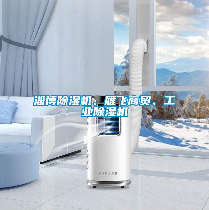 淄博除濕機、雁飛商貿(mào)、工業(yè)除濕機