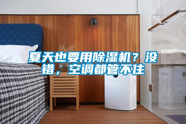 夏天也要用除濕機(jī)？沒錯，空調(diào)都管不住