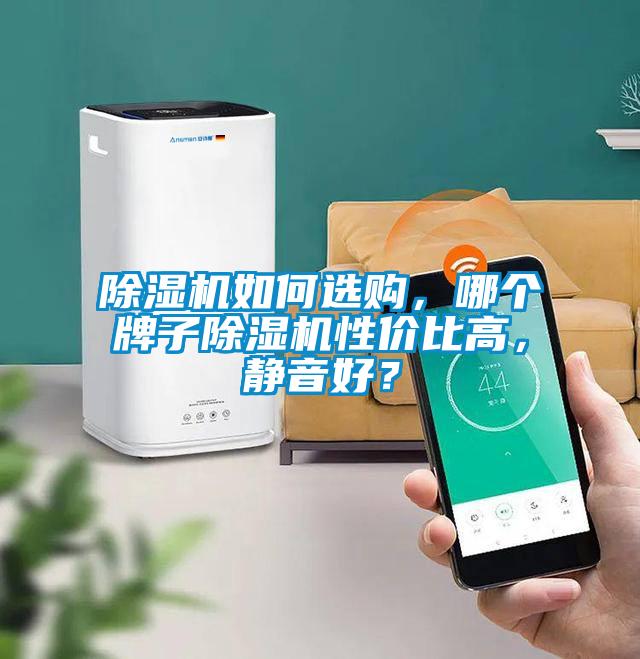 除濕機(jī)如何選購(gòu)，哪個(gè)牌子除濕機(jī)性?xún)r(jià)比高，靜音好？