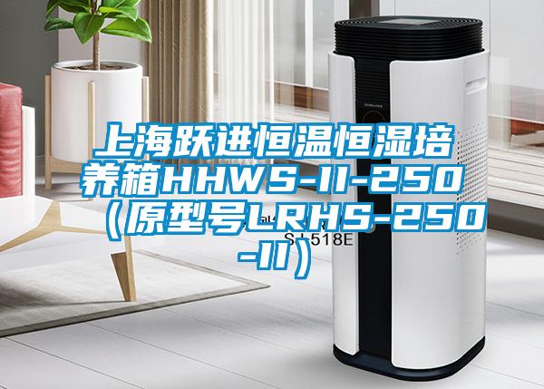 上海躍進(jìn)恒溫恒濕培養(yǎng)箱HHWS-II-250（原型號LRHS-250-II）