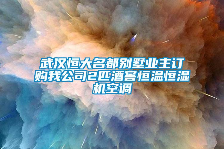 武漢恒大名都別墅業(yè)主訂購我公司2匹酒窖恒溫恒濕機(jī)空調(diào)